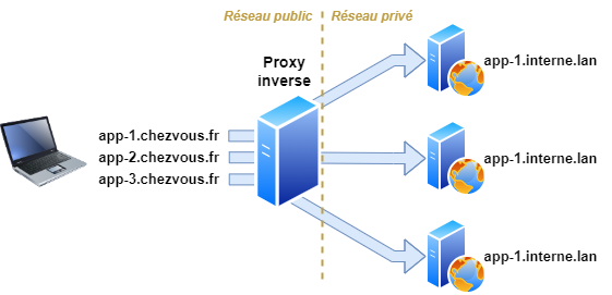 reverse proxy